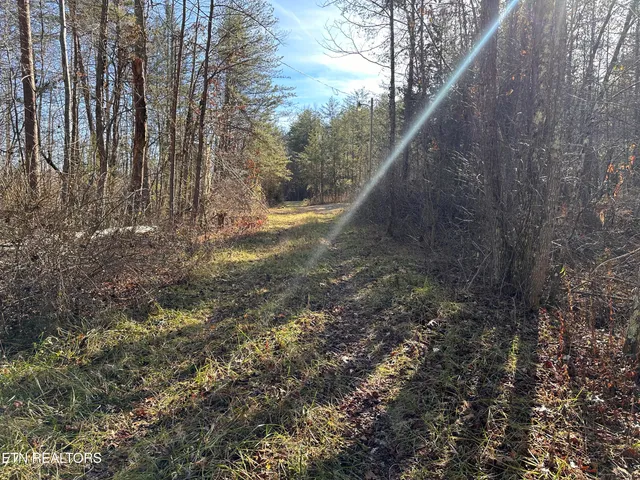 $160,000 | 14.56 Acres Highway, Robbins, TN 37852