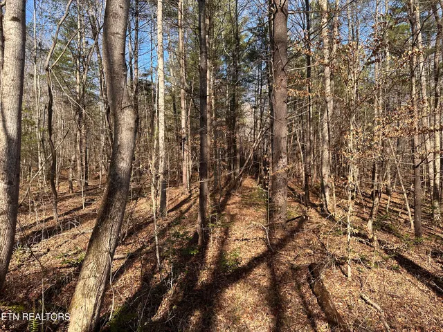 $160,000 | 14.56 Acres Highway, Robbins, TN 37852