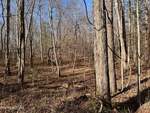 $160,000 | 14.56 Acres Highway, Robbins, TN 37852
