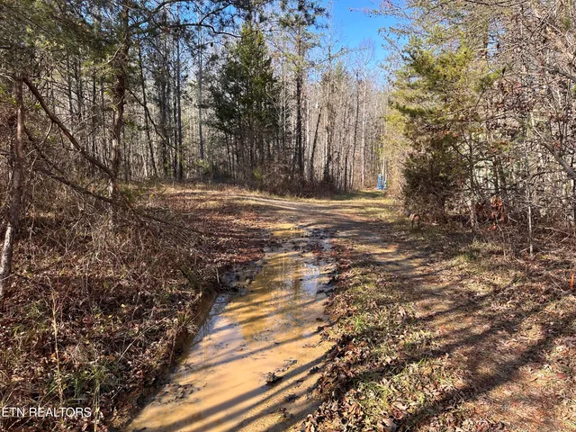 $160,000 | 14.56 Acres Highway, Robbins, TN 37852