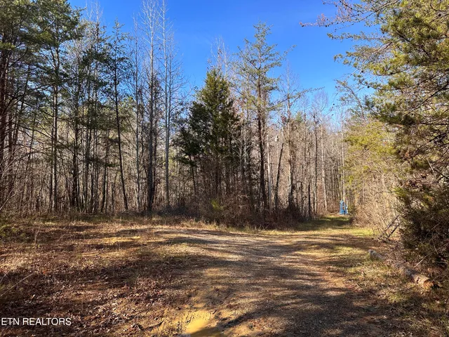 $160,000 | 14.56 Acres Highway, Robbins, TN 37852