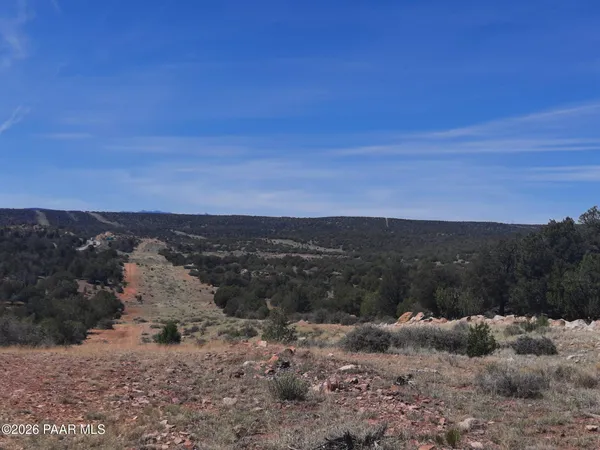 a view of a dry yard with mountains in the background