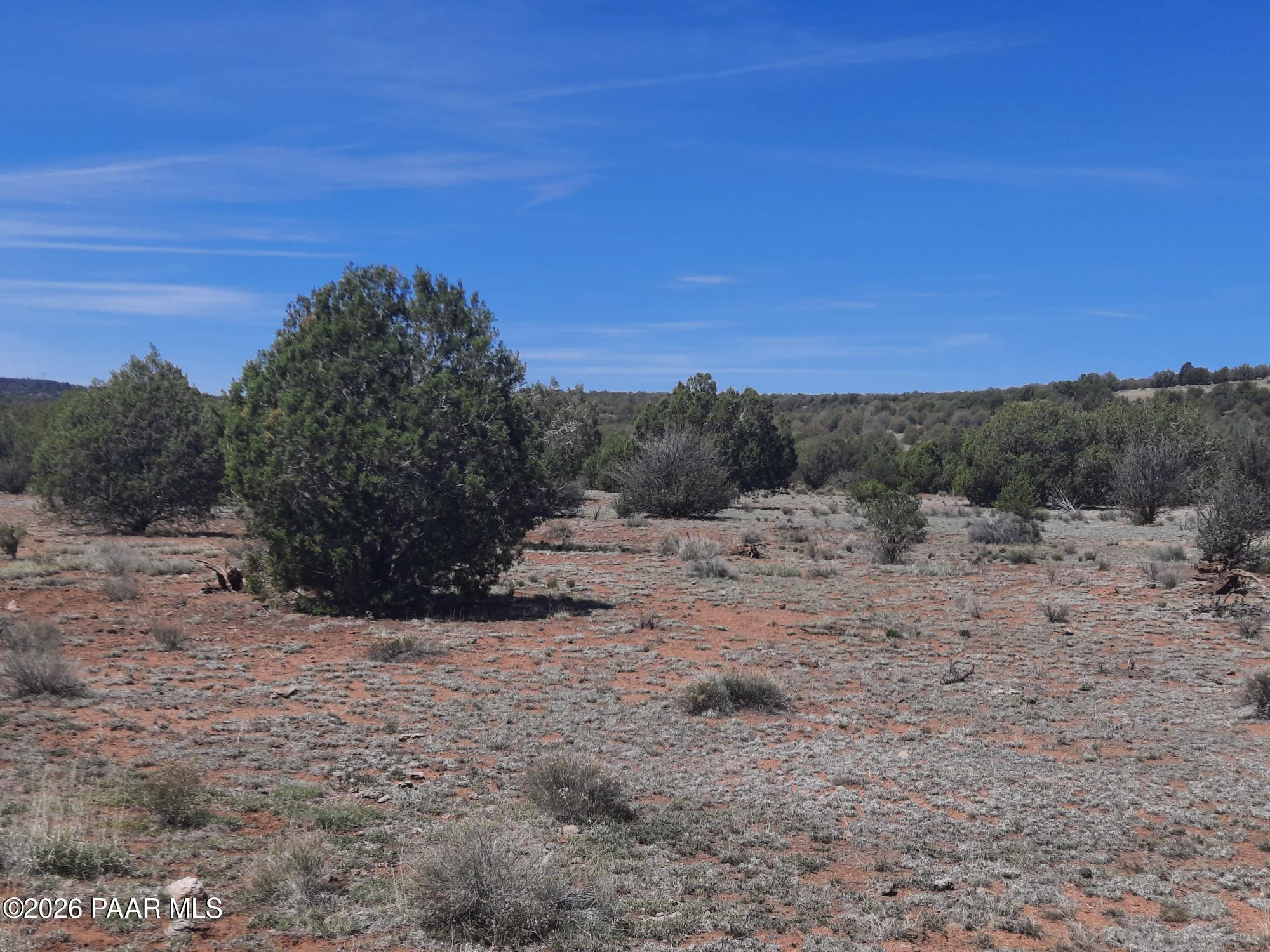 3 V Fort Rock Road Seligman, AZ 86337 - Photo 2 of 13 a view of a dry yard with lots of trees