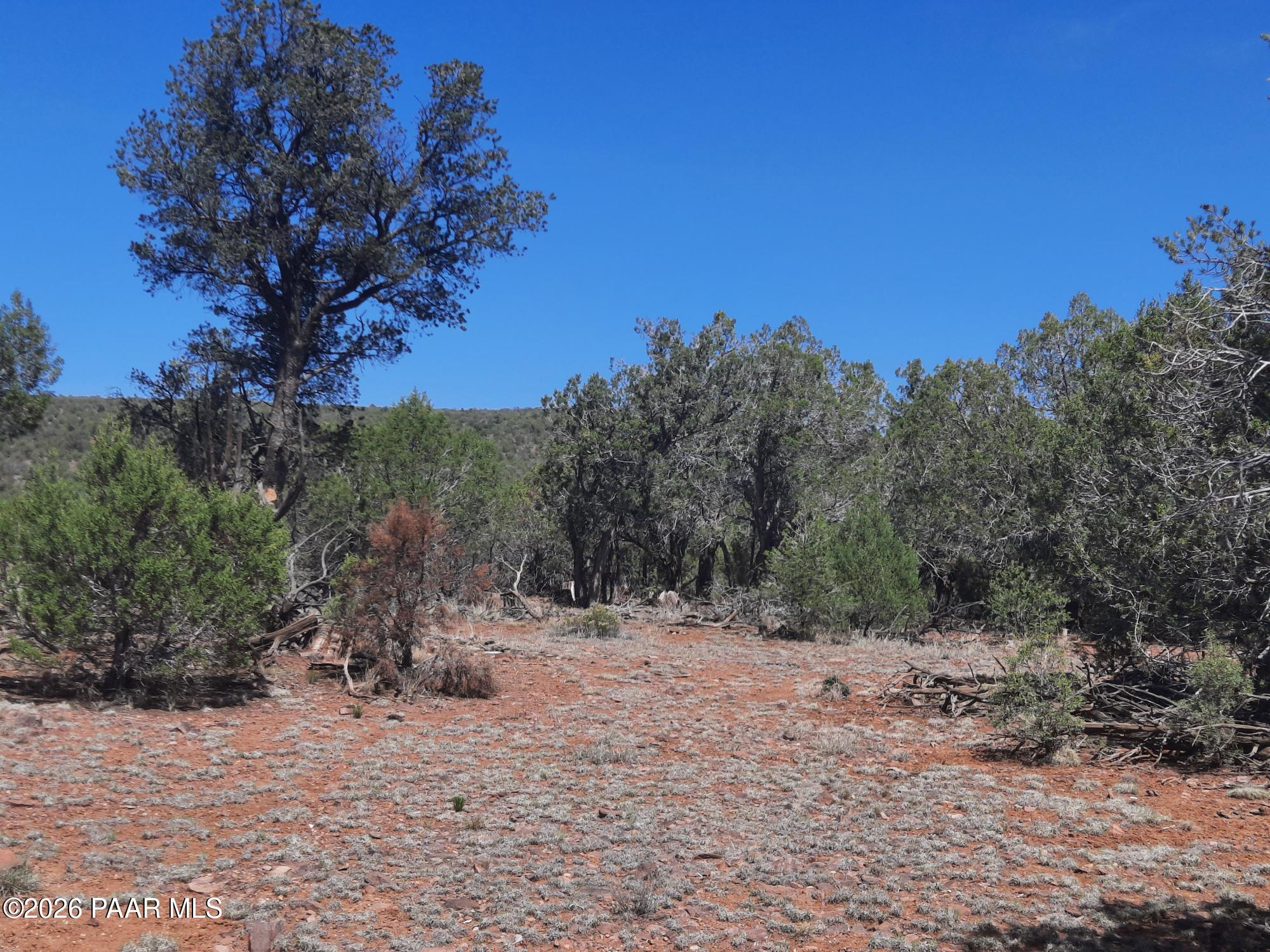 3 V Fort Rock Road Seligman, AZ 86337 - Photo 8 of 13 a view of a dry yard with trees