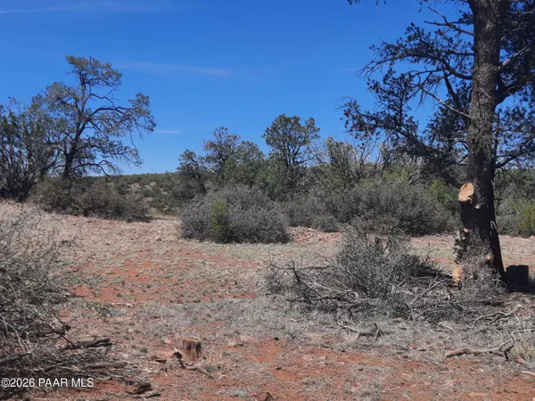 a view of a yard with a tree