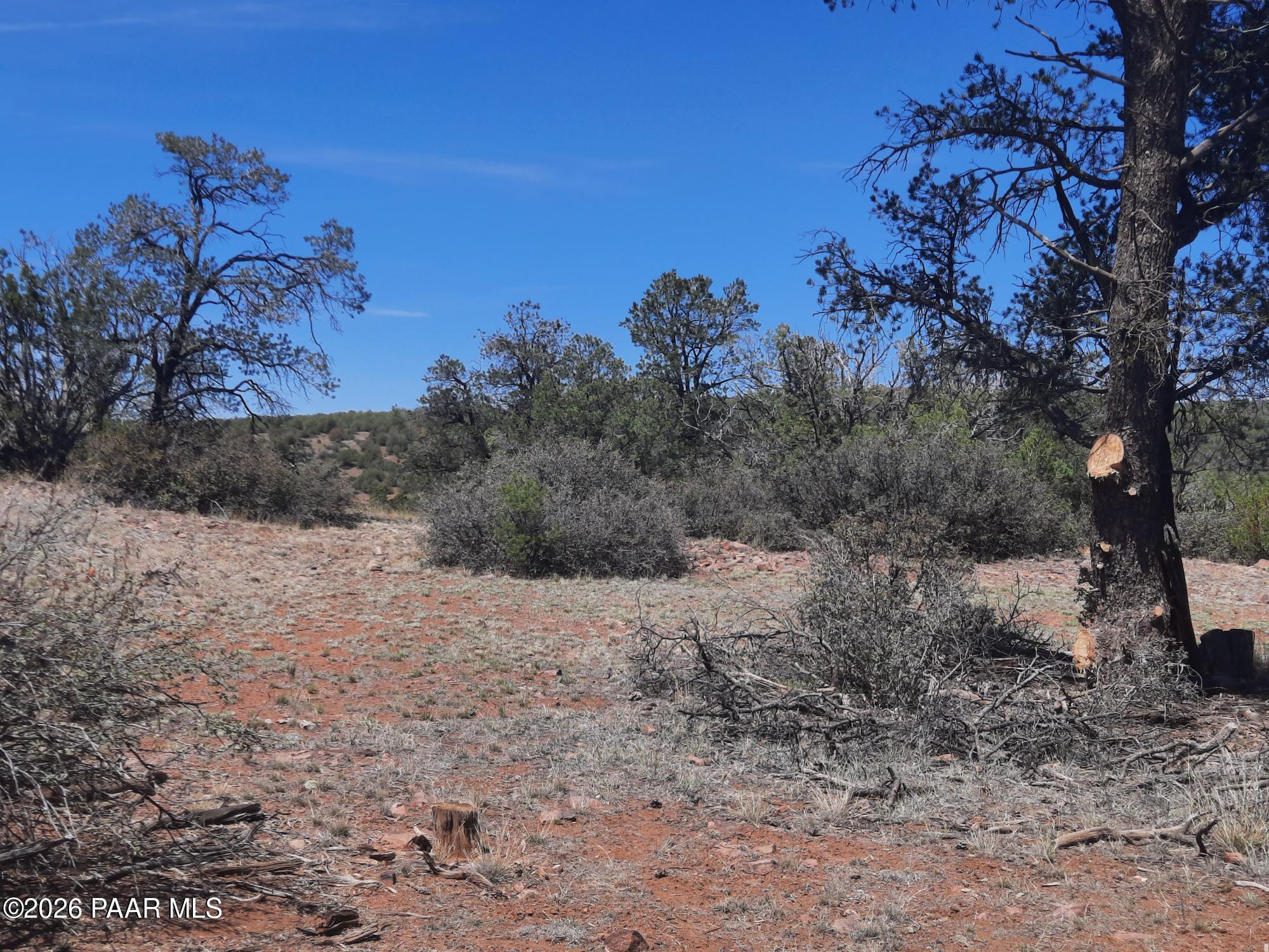3 V Fort Rock Road Seligman, AZ 86337 - Photo 9 of 13 a view of a yard with a tree