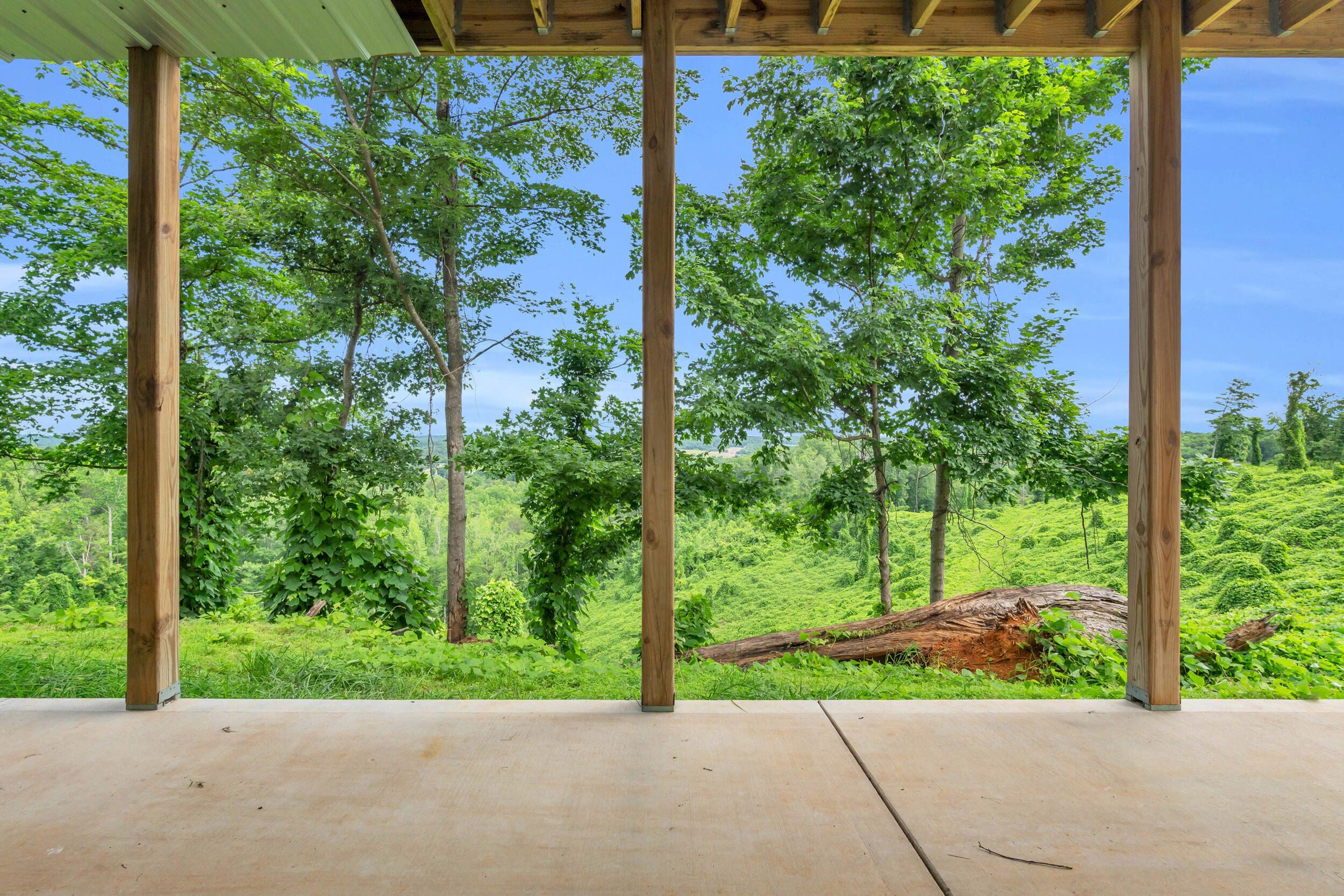 246 County Road 655 Riceville, TN 37370 - Photo 27 of 55 246 co rd 655-25