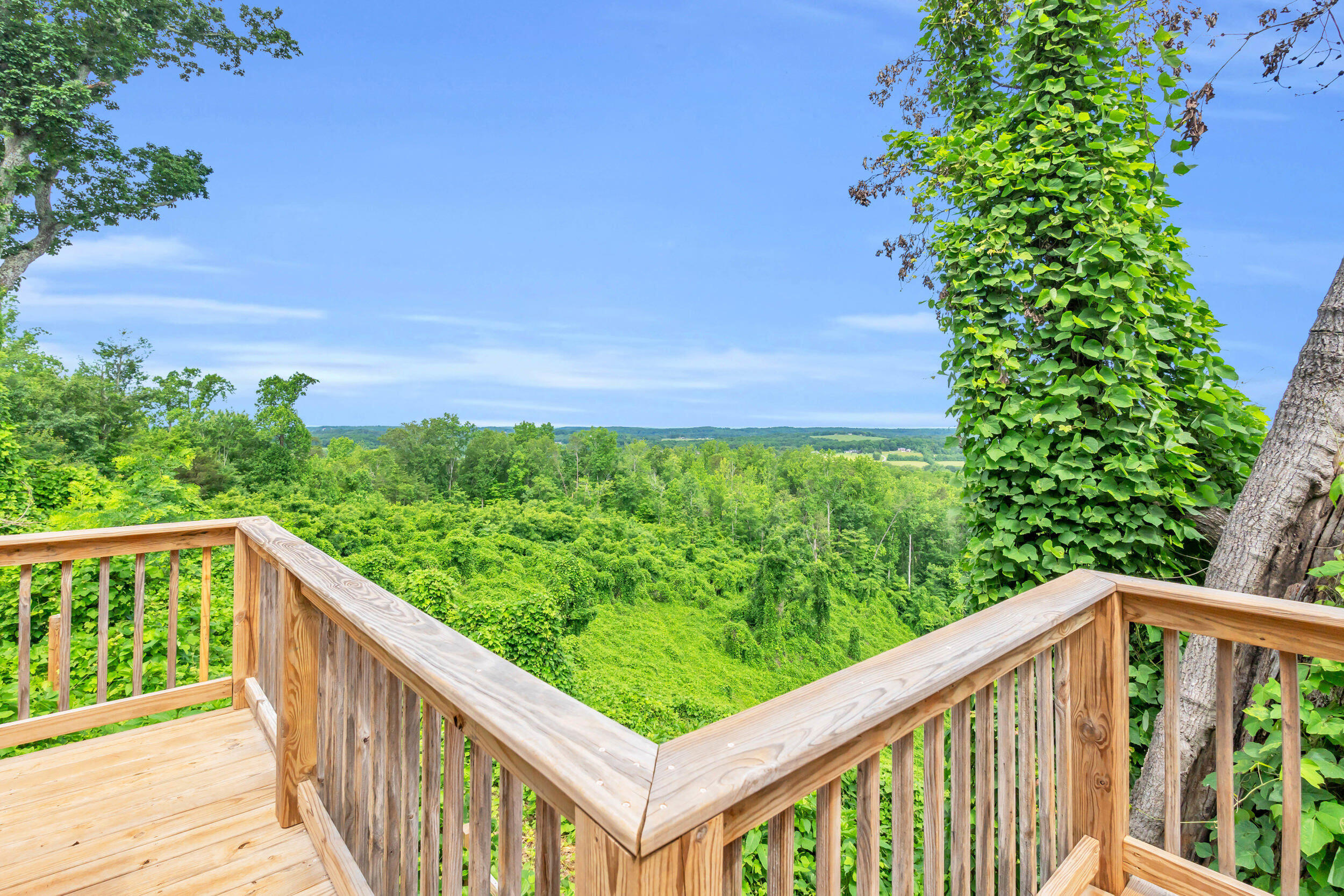 246 County Road 655 Riceville, TN 37370 - Photo 29 of 55 246 co rd 655-29