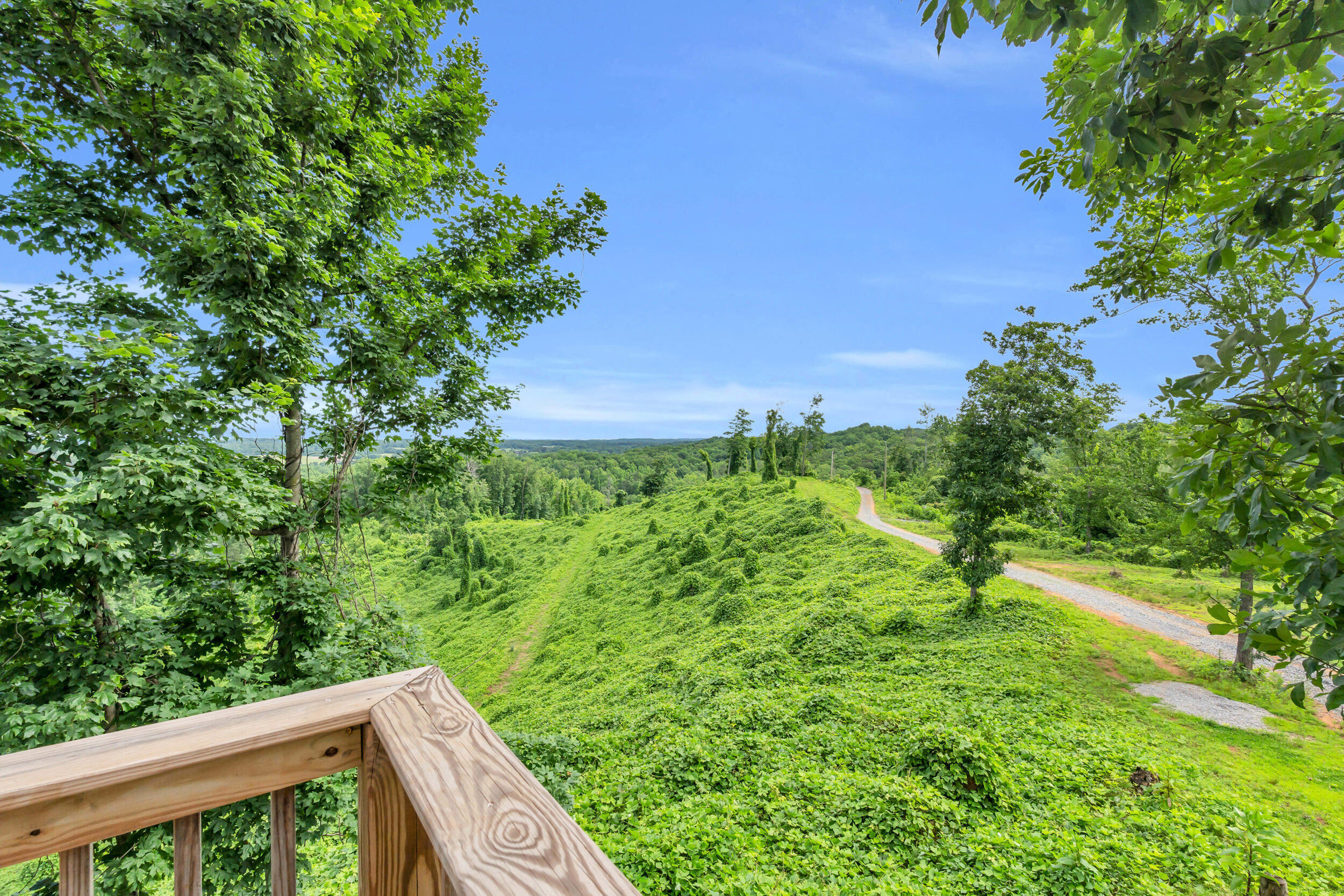 246 County Road 655 Riceville, TN 37370 - Photo 39 of 55 246 co rd 655-28