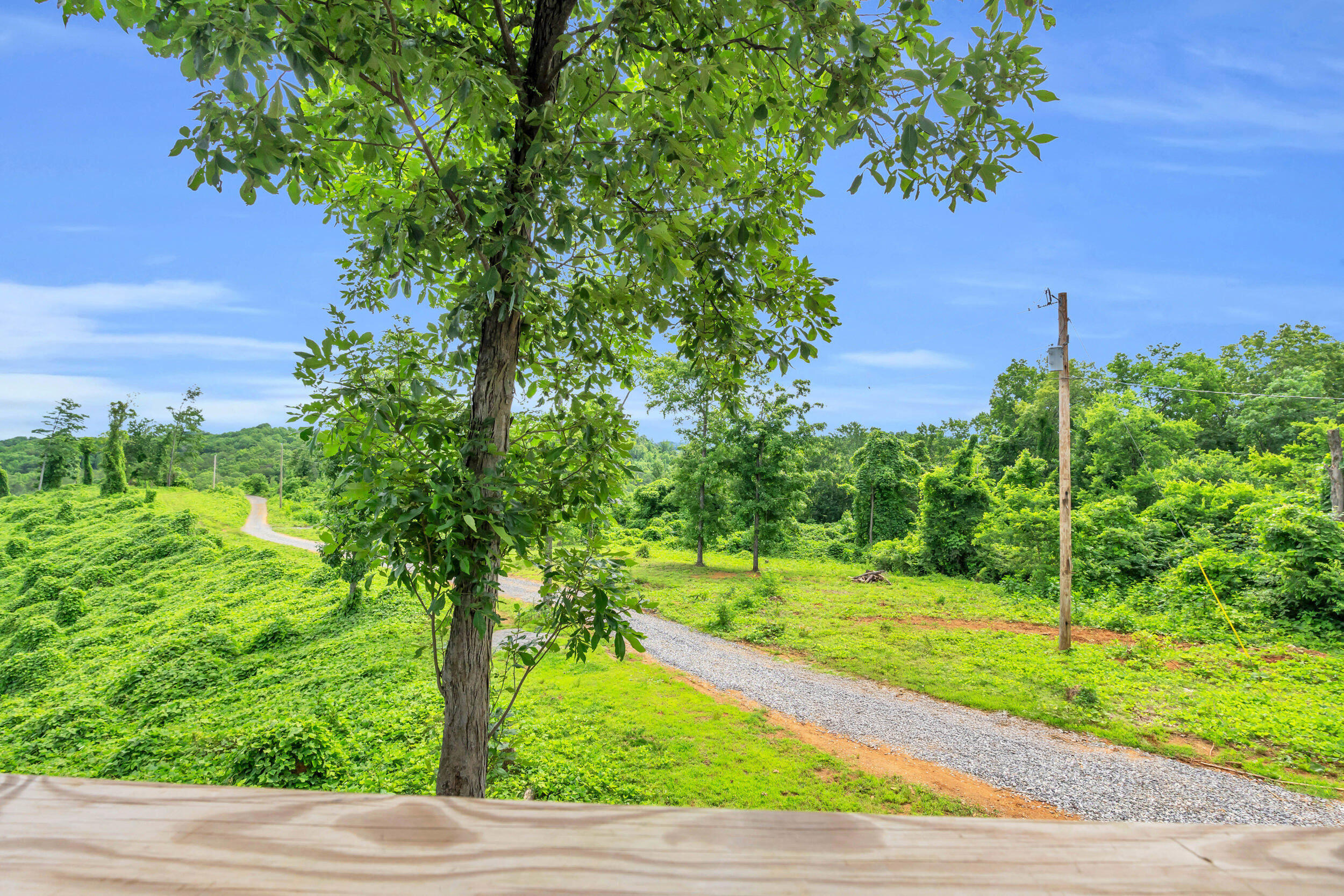 246 County Road 655 Riceville, TN 37370 - Photo 40 of 55 246 co rd 655-27