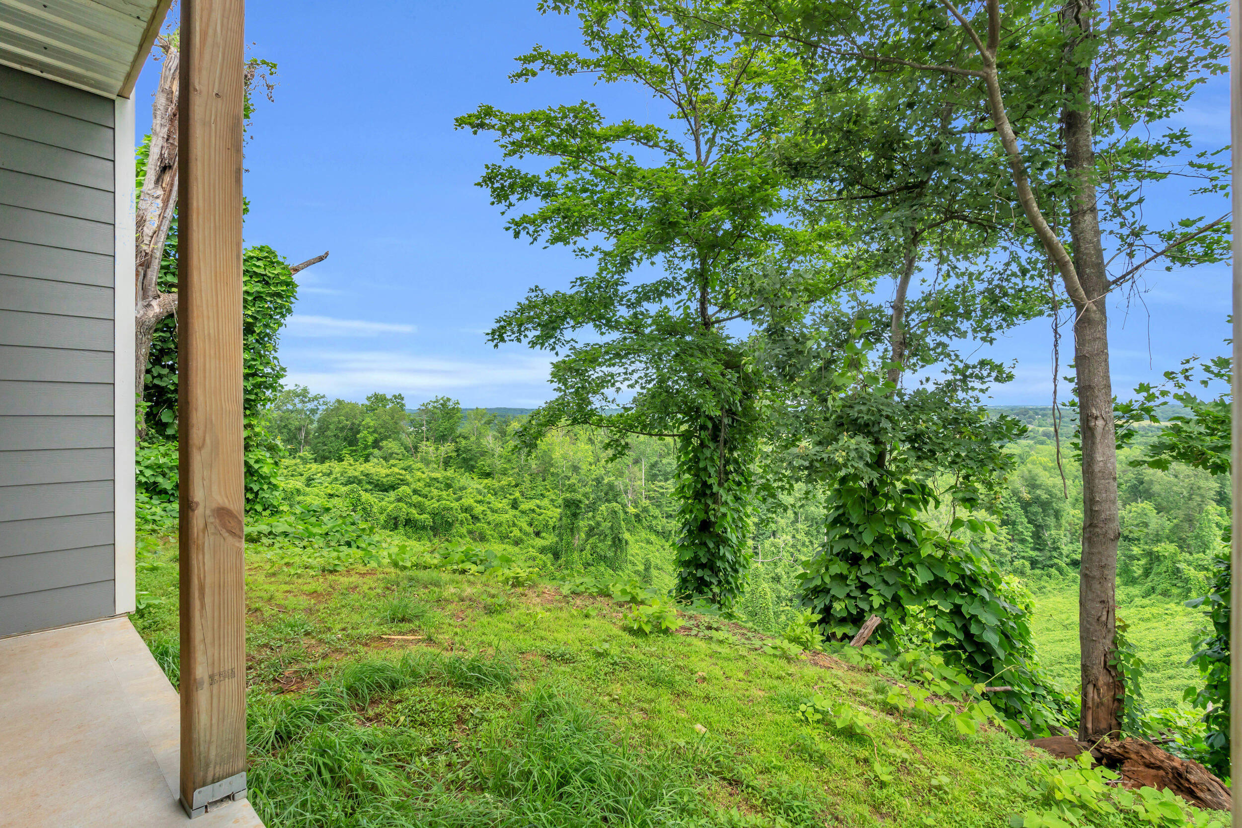 246 County Road 655 Riceville, TN 37370 - Photo 41 of 55 246 co rd 655-26