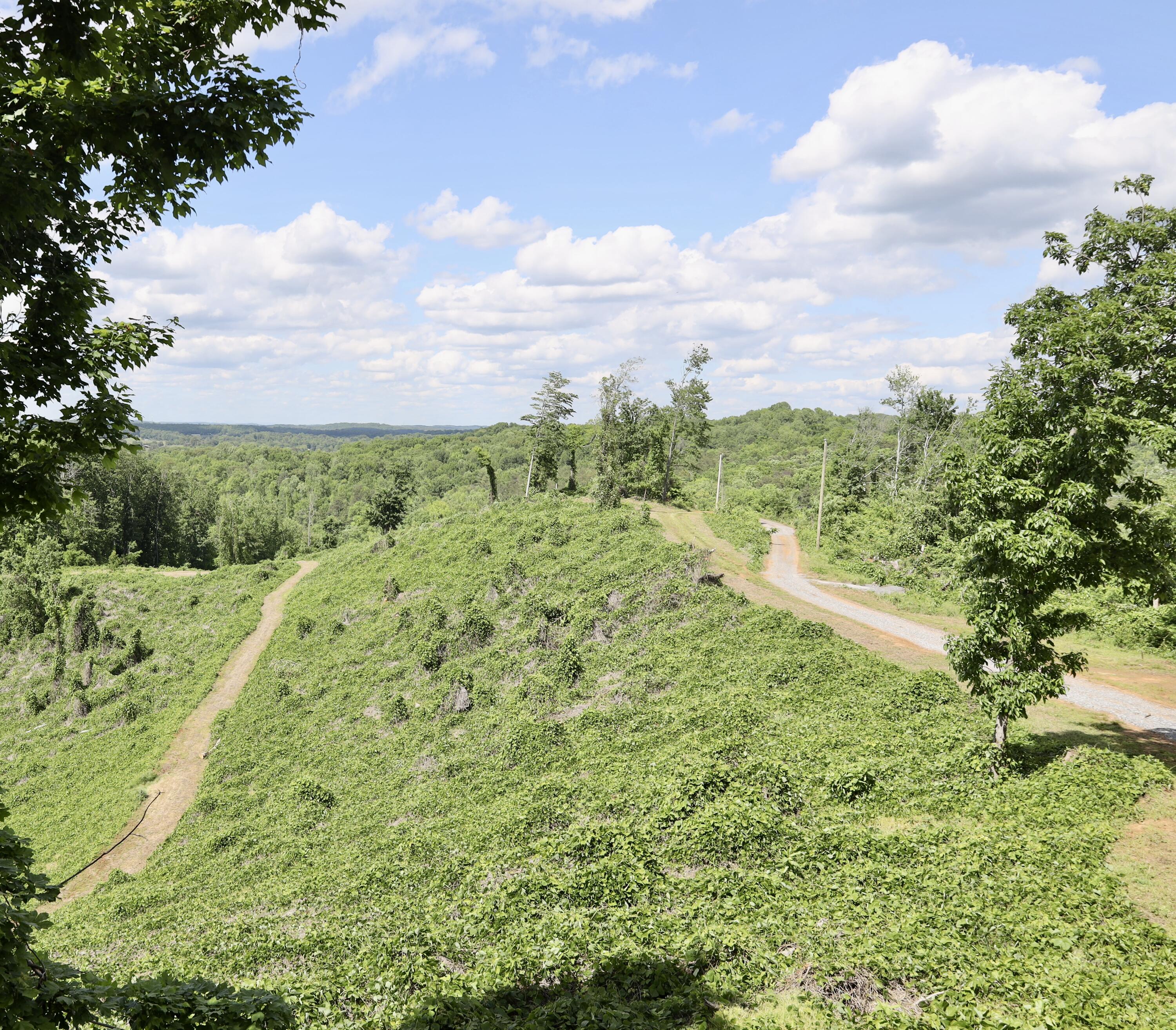 246 County Road 655 Riceville, TN 37370 - Photo 52 of 55 4I0A8369