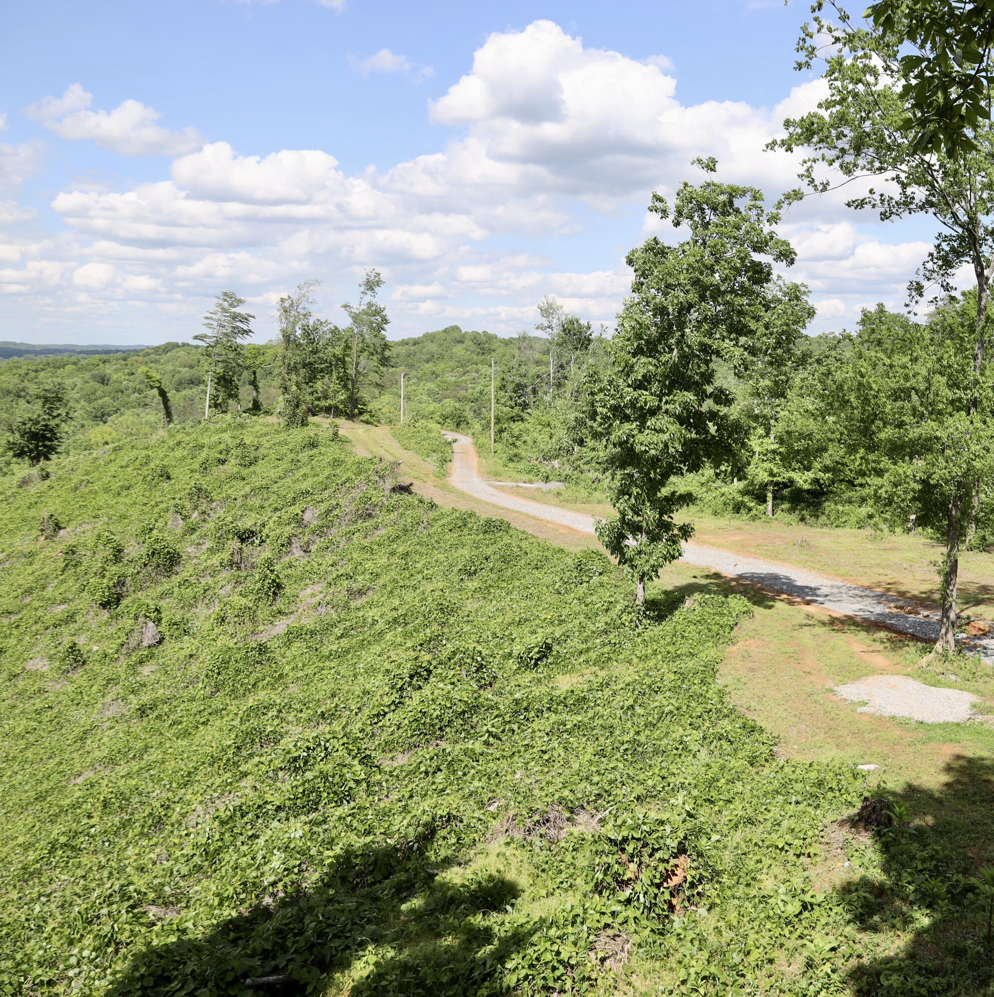 246 County Road 655 Riceville, TN 37370 - Photo 53 of 55 4I0A8368