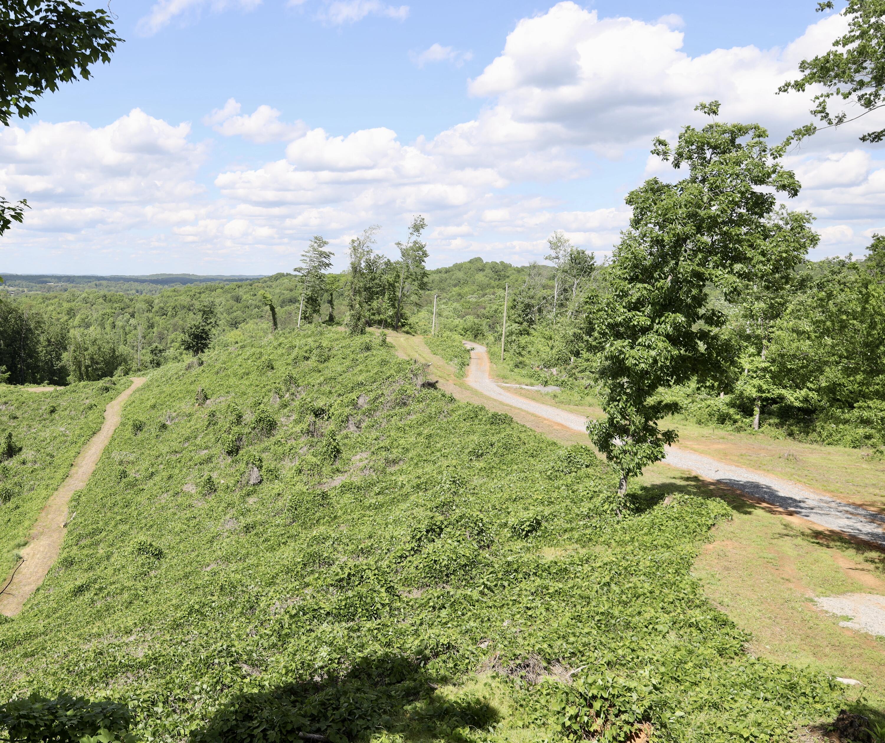 246 County Road 655 Riceville, TN 37370 - Photo 54 of 55 4I0A8367