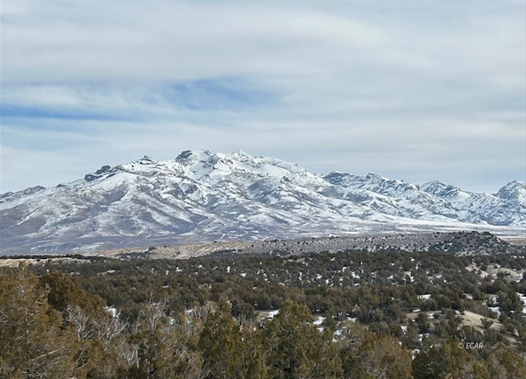 Lee Road Rd Spring Creek Spring Creek, NV 89815 - Photo 6 of 9