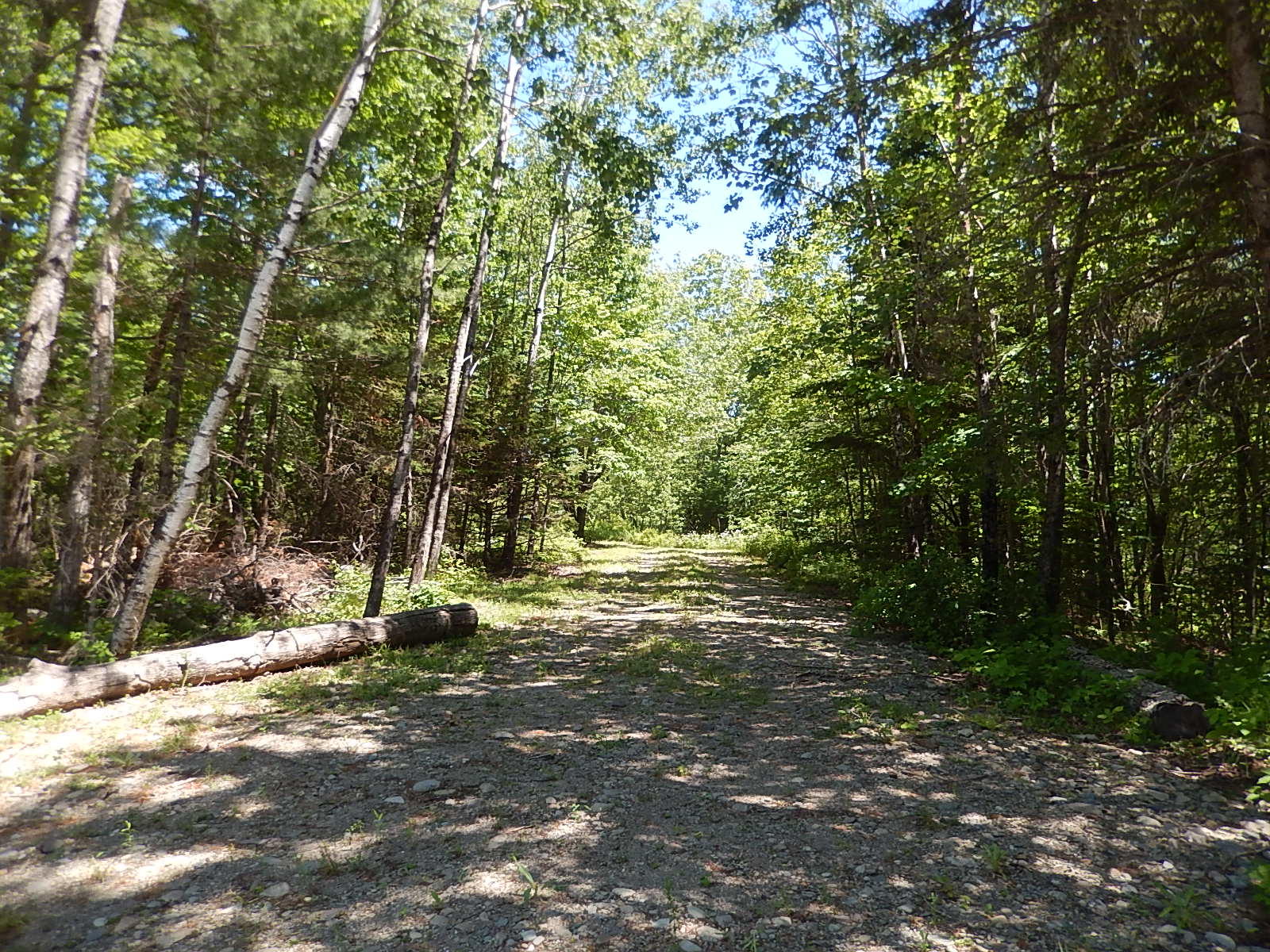 109 Belfast Augusta Road Searsmont, ME 04973 - Photo 11 of 20 DSCN9857