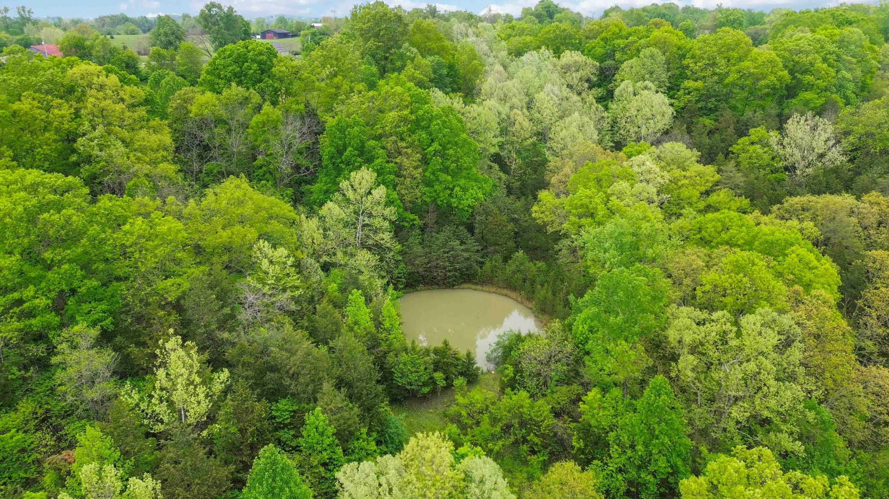999 Bend Road Waco, KY 40385 - Photo 6 of 17 006