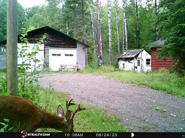 $195,000 | 6355 Stoney Brook Road, Alborn, MN 55702