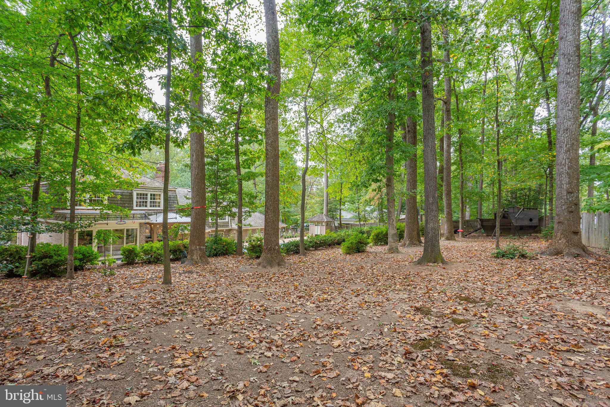 8458 Brook Road McLean, VA 22102 - Photo 8 of 77 Gallery Image 8