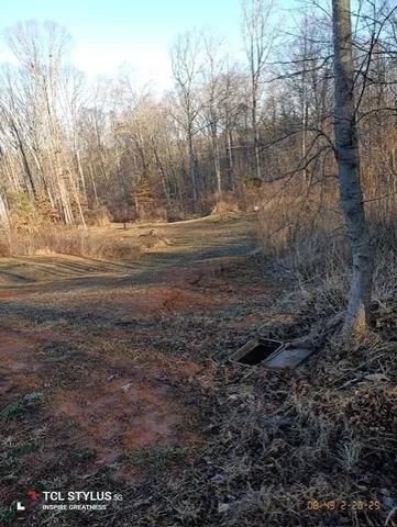 a view of dirt yard with large trees