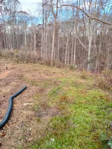 a view of a yard with trees