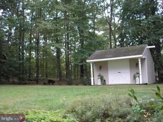 2687 Cranberry Road Doylestown, PA 18902 - Photo 3 of 6