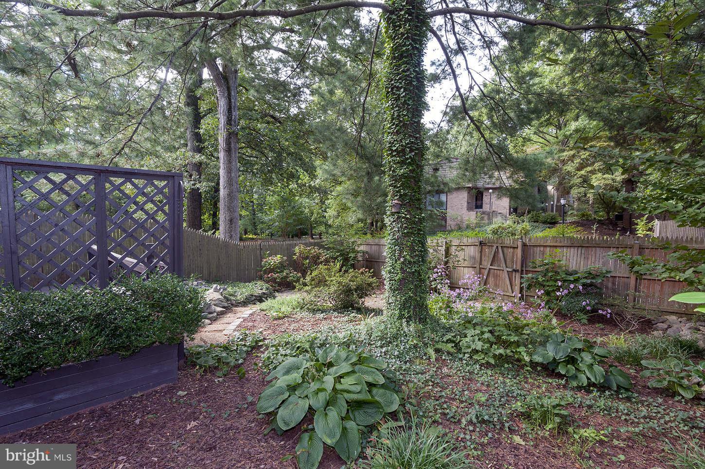 7964 Inverness Ridge Road Potomac, MD 20854 - Photo 10 of 28 a backyard of a house with lots of green space