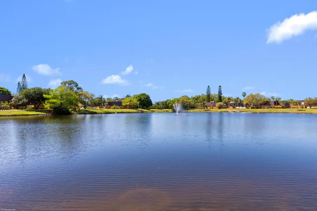 a view of a lake with boats and trees in the background
