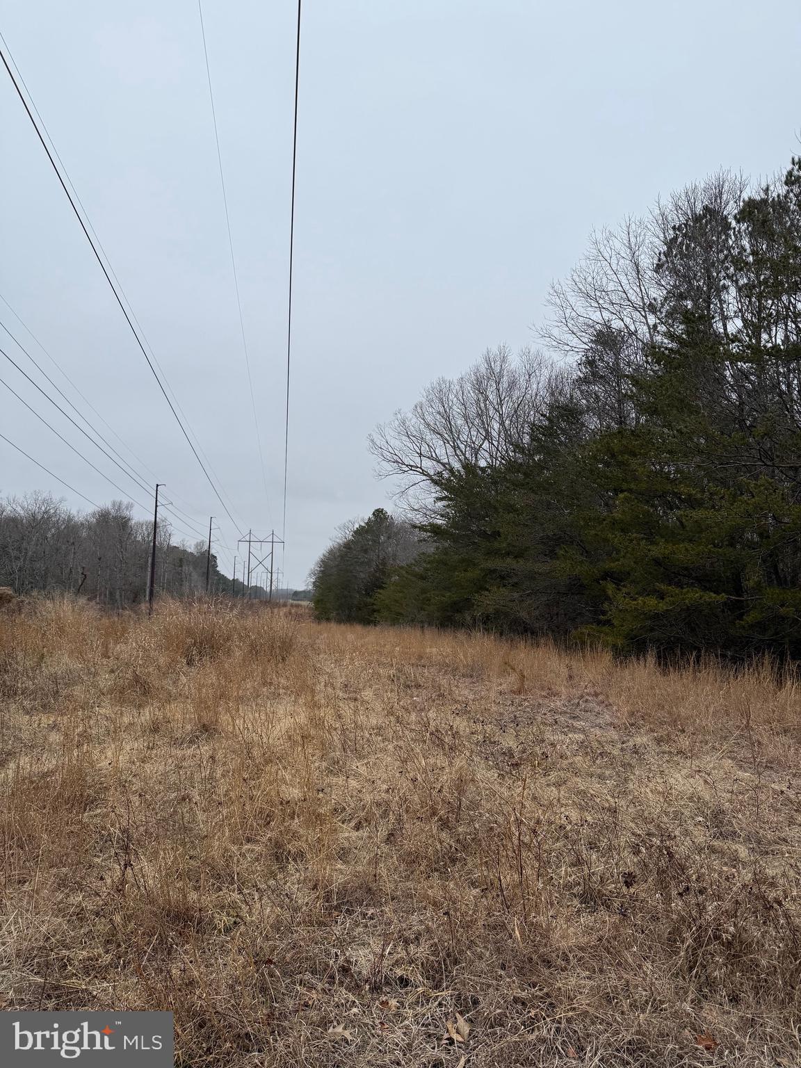 0 Benson Road Lincoln, DE 19960 - Photo 4 of 9 DP&L ROW is left of parcel. 30ft strip is wooded.