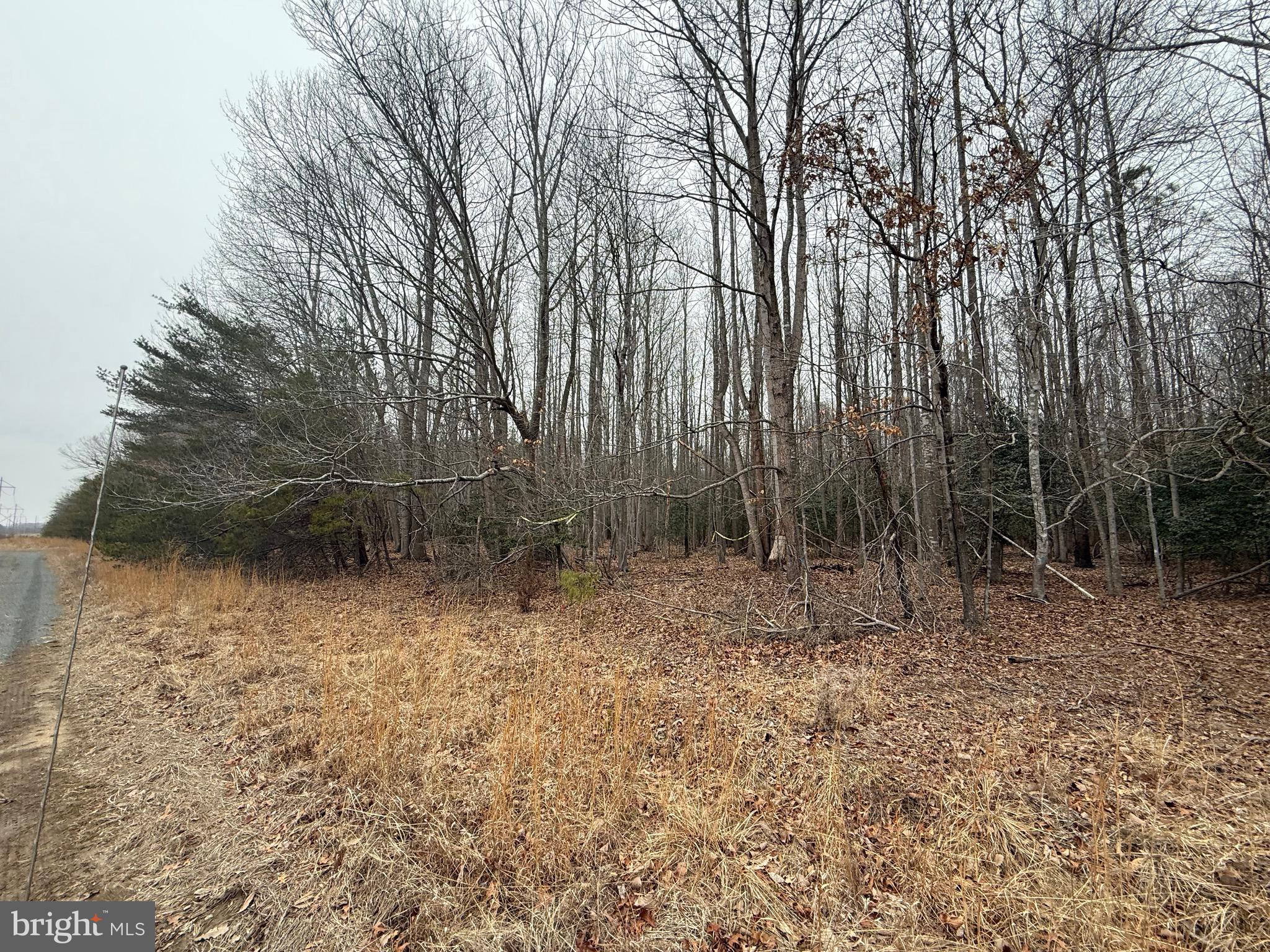 0 Benson Road Lincoln, DE 19960 - Photo 8 of 9 View of property from edge of DP&L ROW