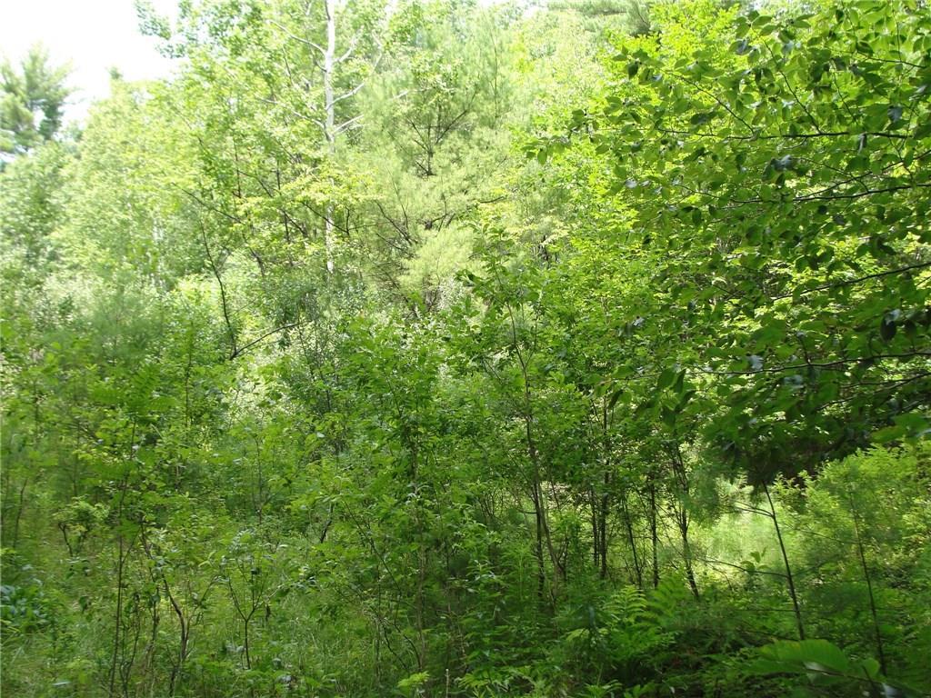 0 South Bridgton Road Bridgton, ME 04009 - Photo 6 of 11 Photo