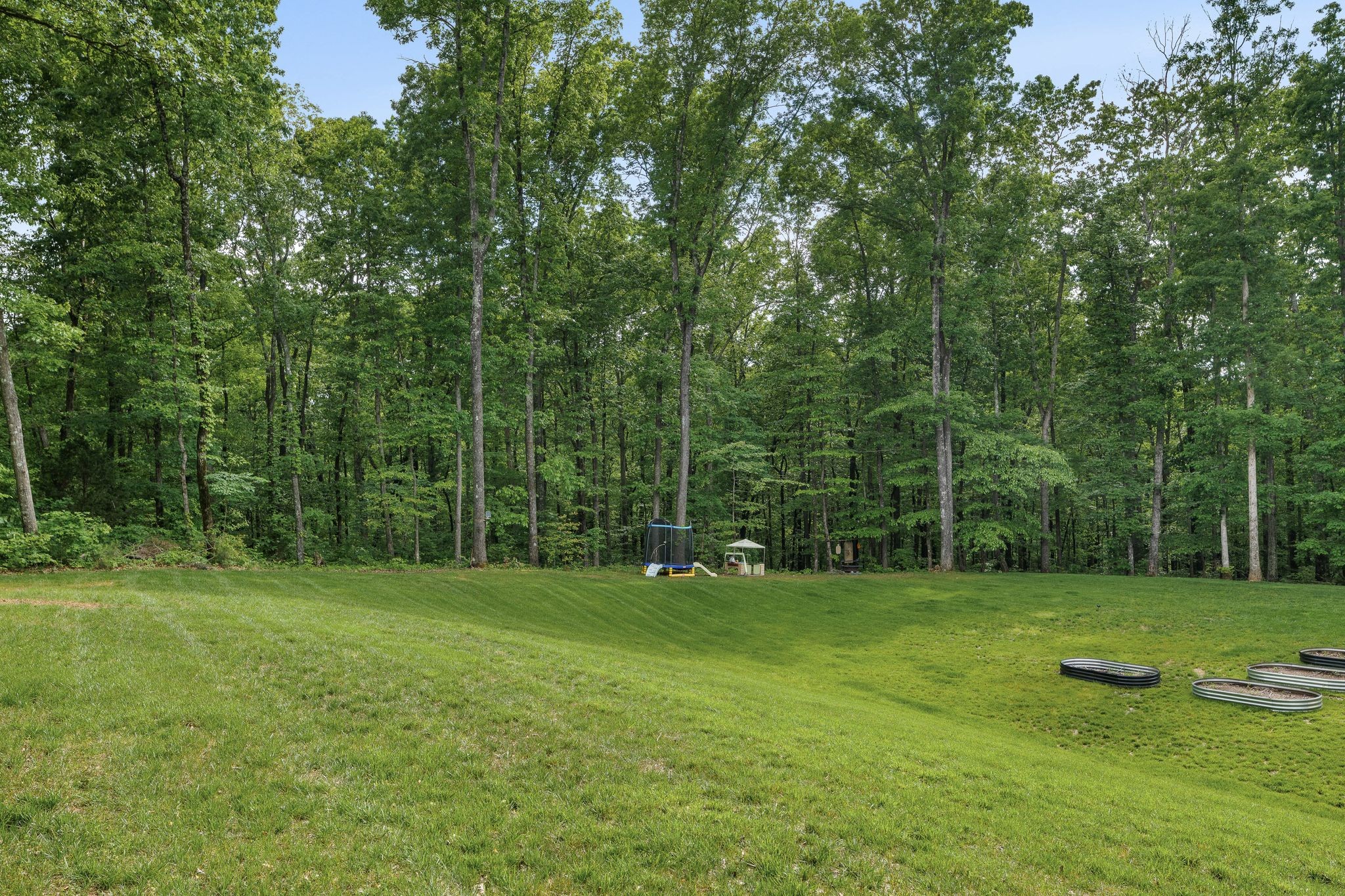 7361 Liberty Road Fairview, TN 37062 - Photo 55 of 71 a view of a grassy field with trees in the background