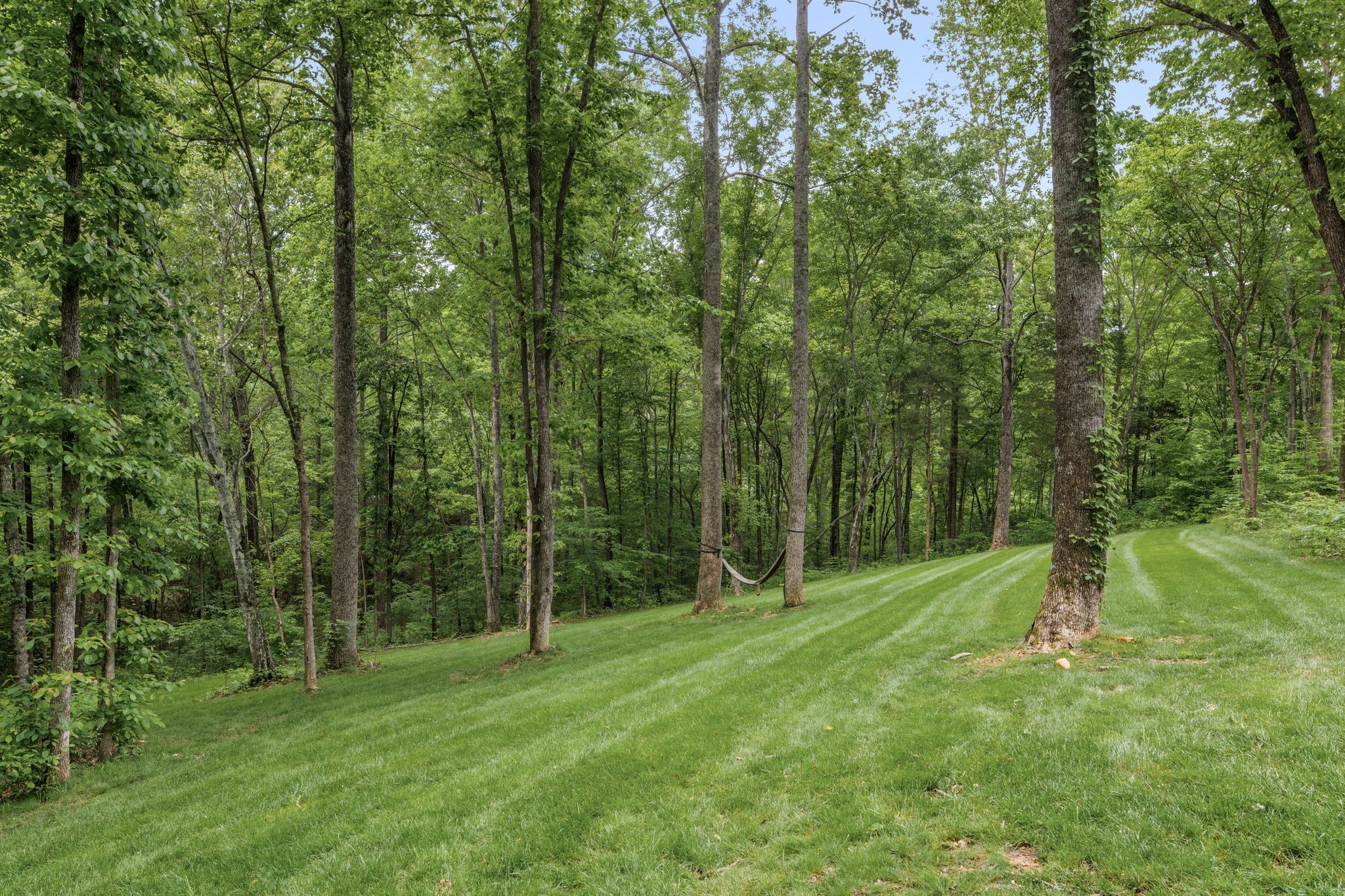 7361 Liberty Road Fairview, TN 37062 - Photo 57 of 71 a view of outdoor space with green field and trees