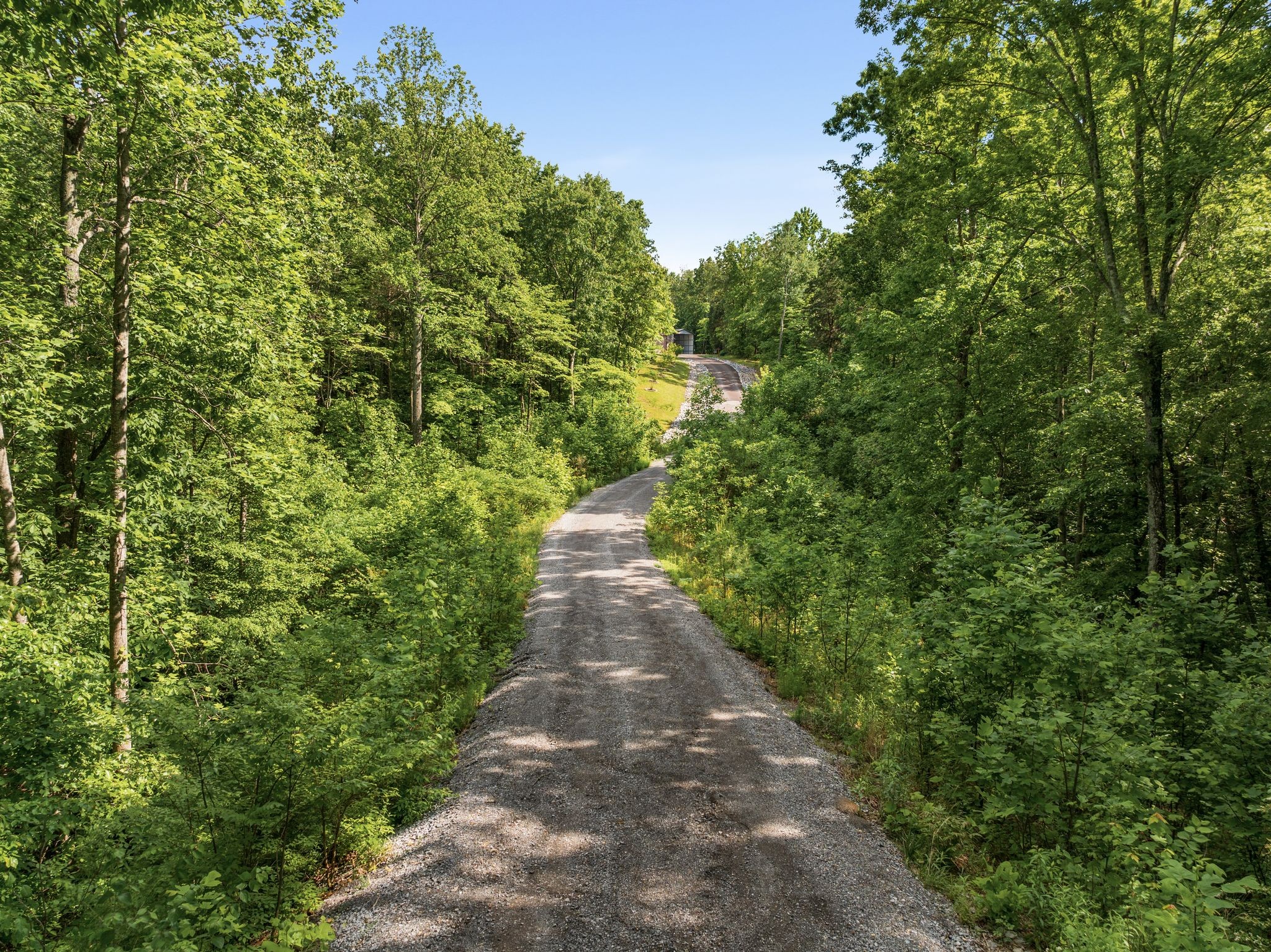 7361 Liberty Road Fairview, TN 37062 - Photo 66 of 71 a view of a pathway both side of yard