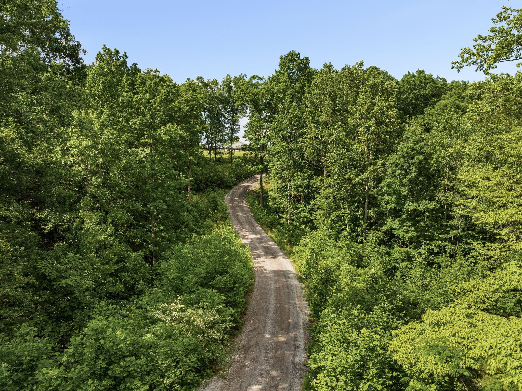 7361 Liberty Road Fairview, TN 37062 - Photo 67 of 71