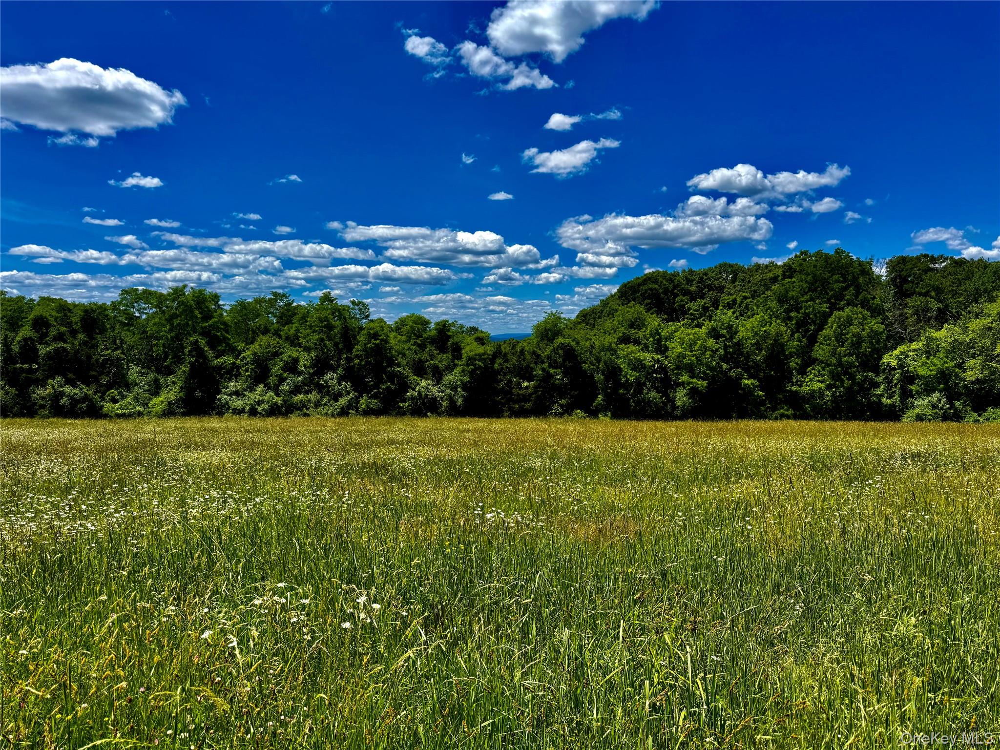 513 Rossway Road Pleasant Valley, NY 12569 - Photo 6 of 17 Field Number 1#
