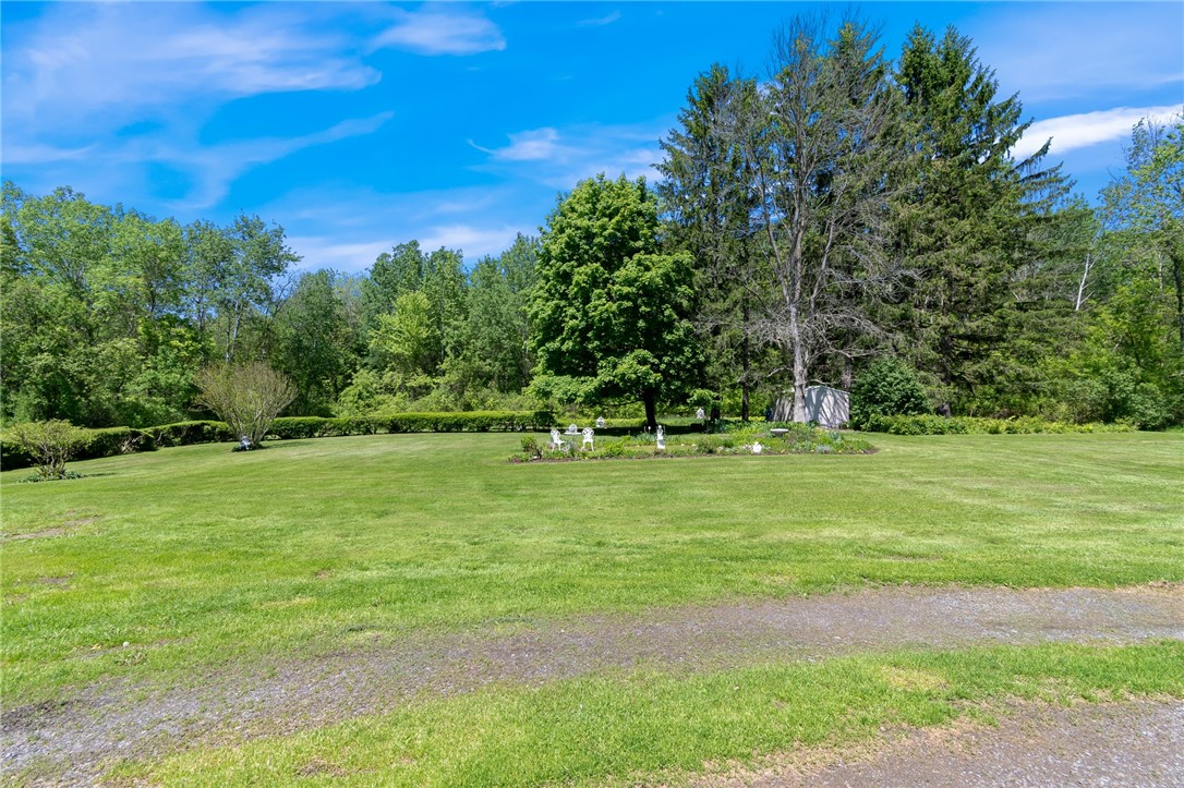 11805 Wilson Road Butler, NY 14590 - Photo 40 of 48 WHAT A GREAT LOT!