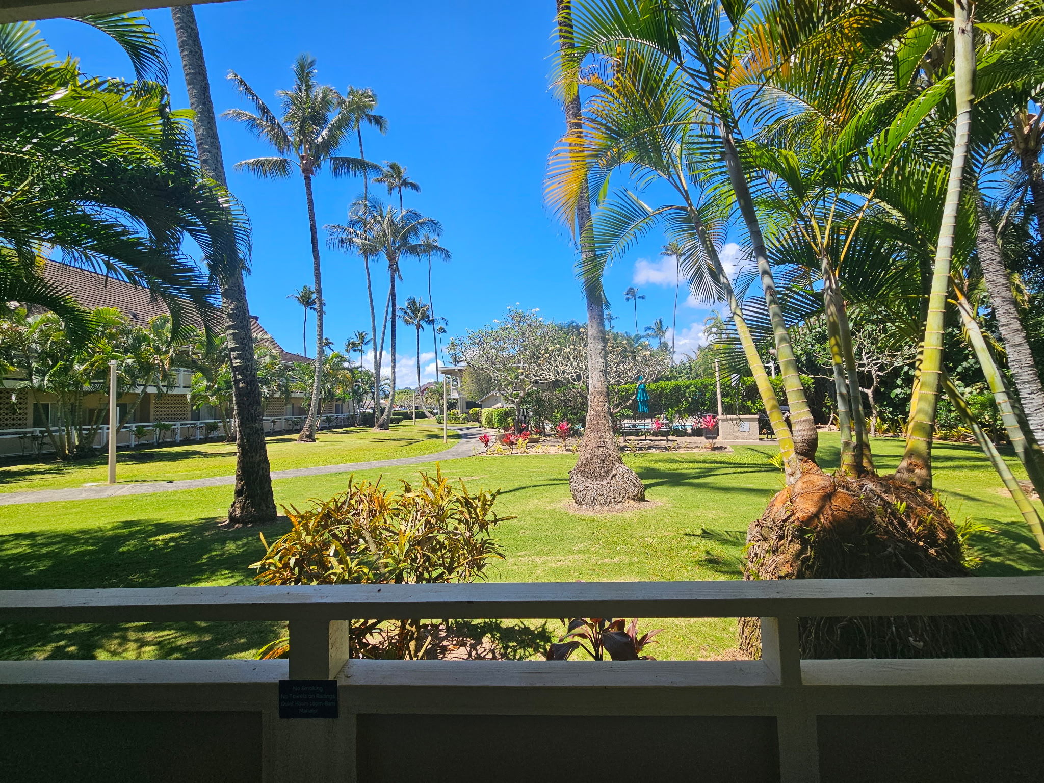 525 Aleka Loop, Unit D3 Kapaa, HI 96746 - Photo 11 of 13 a view of a park with large trees