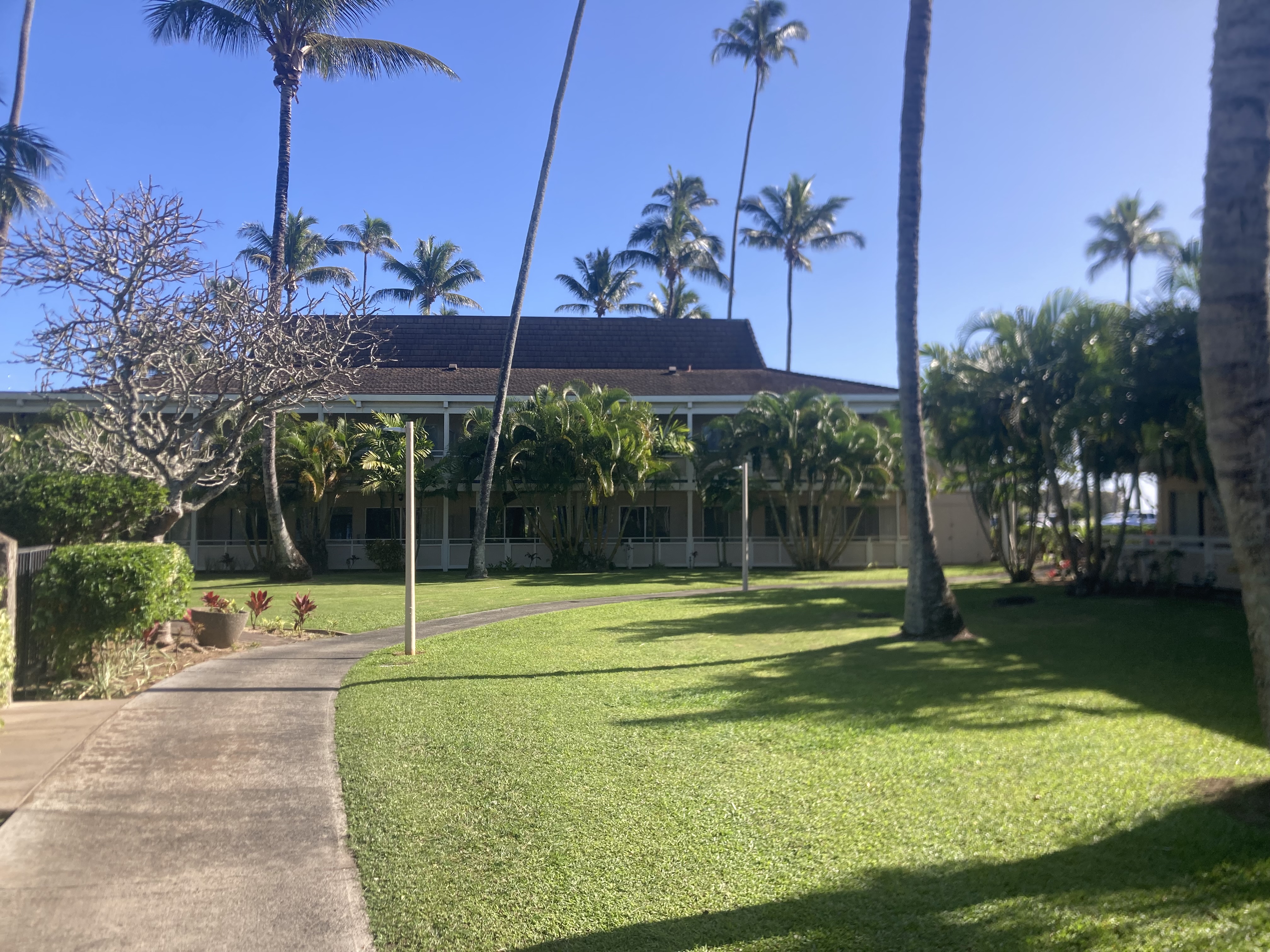 525 Aleka Loop, Unit D3 Kapaa, HI 96746 - Photo 2 of 13 a view of a volley ball court