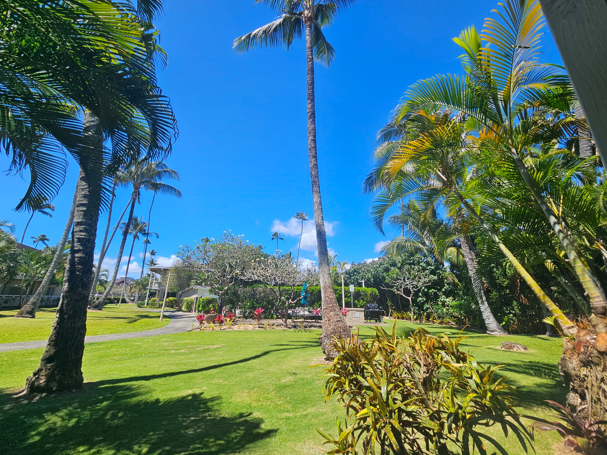 525 Aleka Loop, Unit D3 Kapaa, HI 96746 - Photo 10 of 13 a view of a yard with a house in the background
