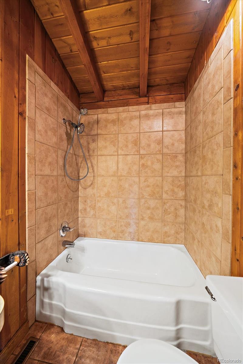 121 Mary Beth Road Evergreen, CO 80439 - Photo 23 of 37 Gallery Image 23