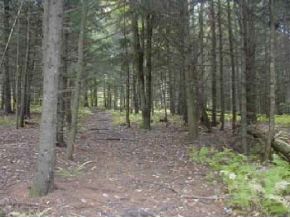 0 Overlook Hill Road Wolcott, VT 05657 - Photo 1 of 1