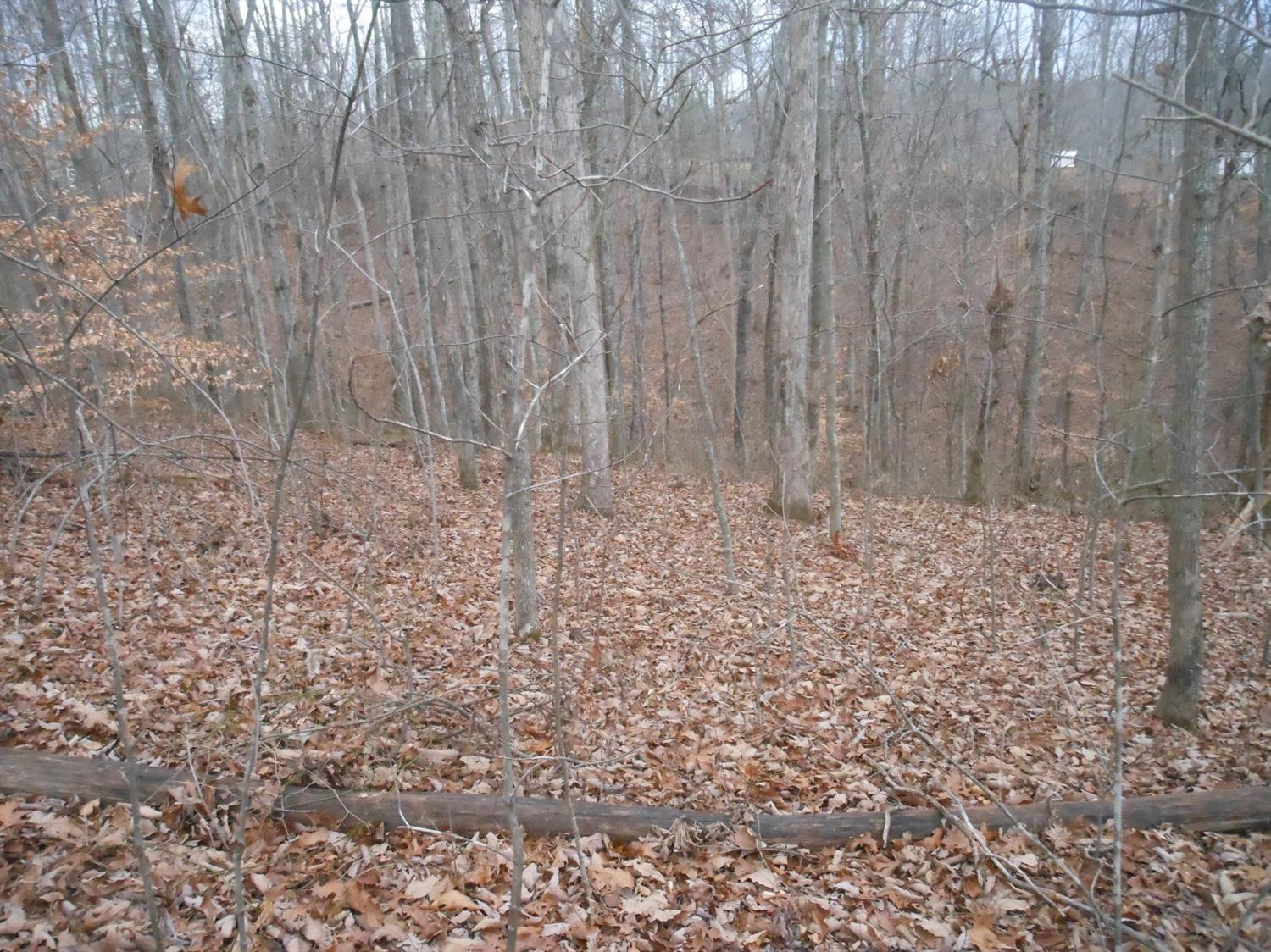 100 Amos Ridge Road Frenchburg, KY 40322 - Photo 11 of 11 Photo 11