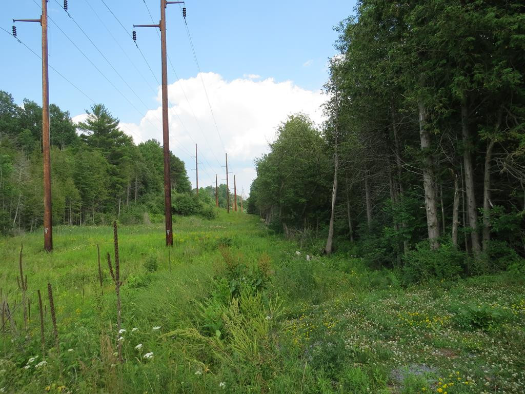 2489 State Rte 3 Cadyville, NY 12918 - Photo 15 of 18 Gallery Image 15