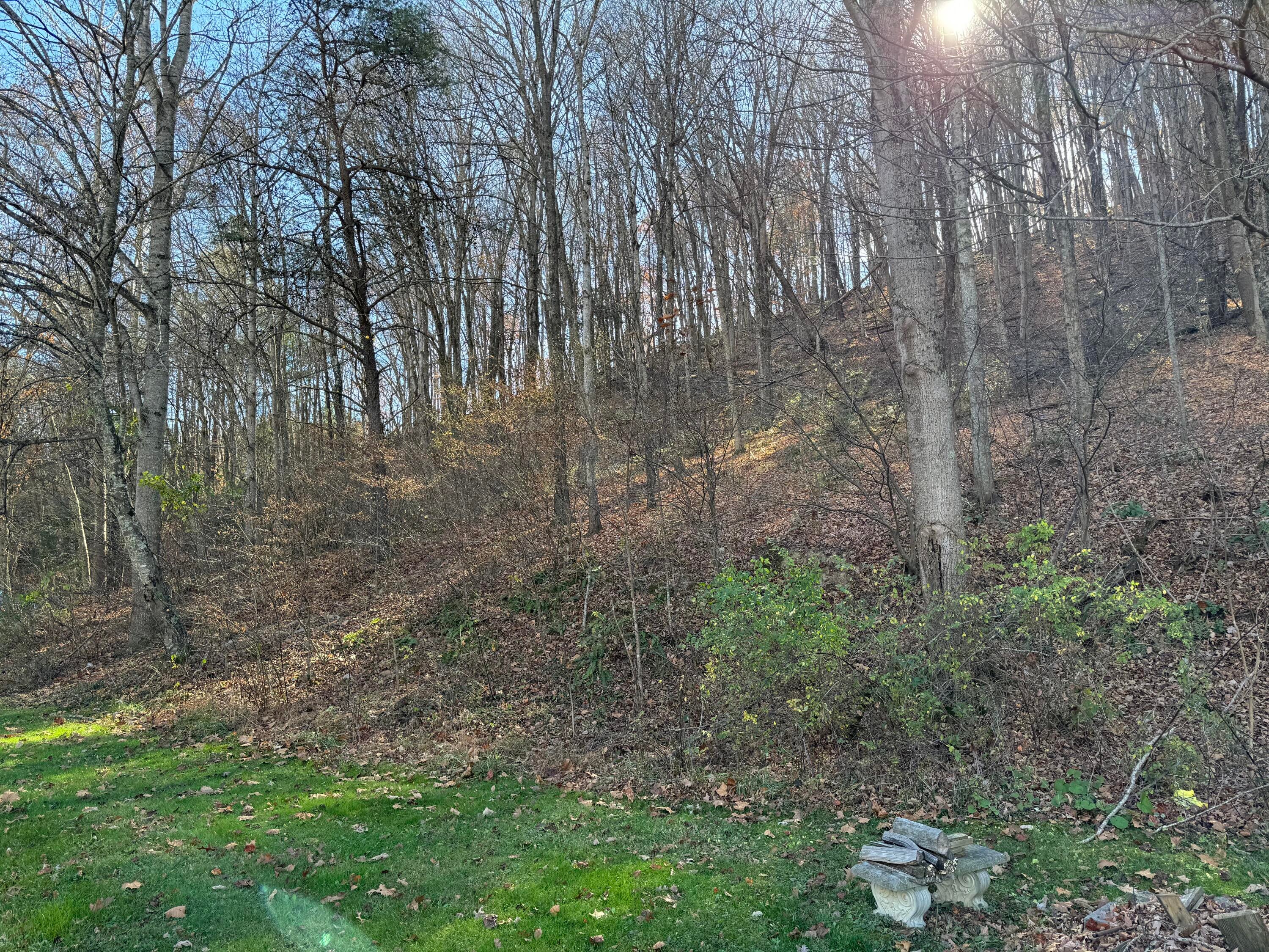 622 Back Valley Road Lindside, WV 24951 - Photo 9 of 45 Gallery Image 9