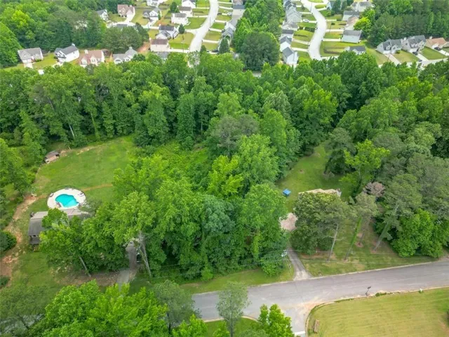 a view of a big yard with potted plants and large trees