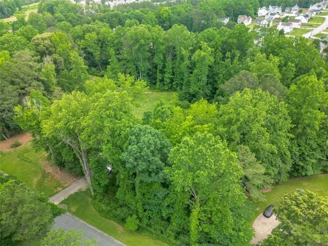 a view of a lush green forest