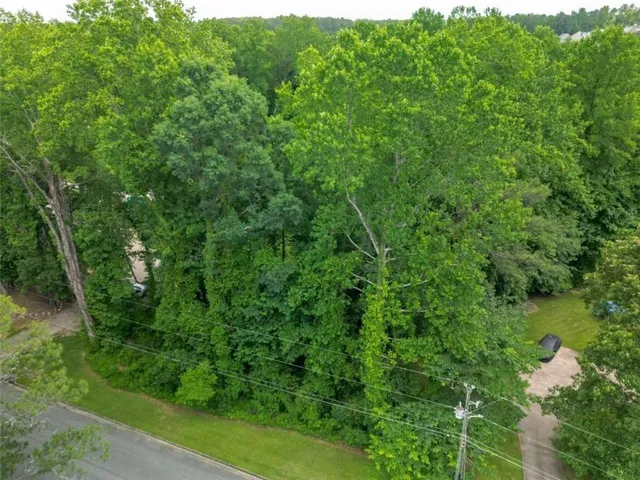 a view of a lush green forest with lots of trees