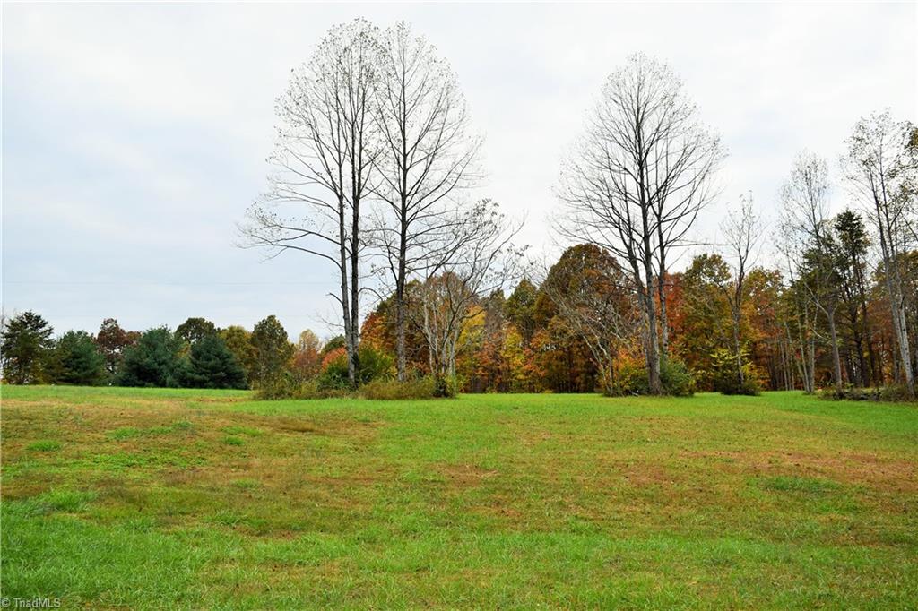 3.299-ac Lula Road Madison, NC 27025 - Photo 3 of 13 Gallery Image 3