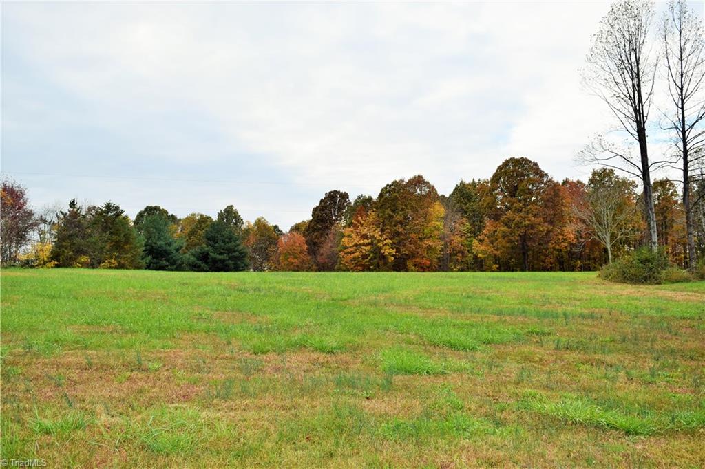 3.299-ac Lula Road Madison, NC 27025 - Photo 4 of 13 Gallery Image 4